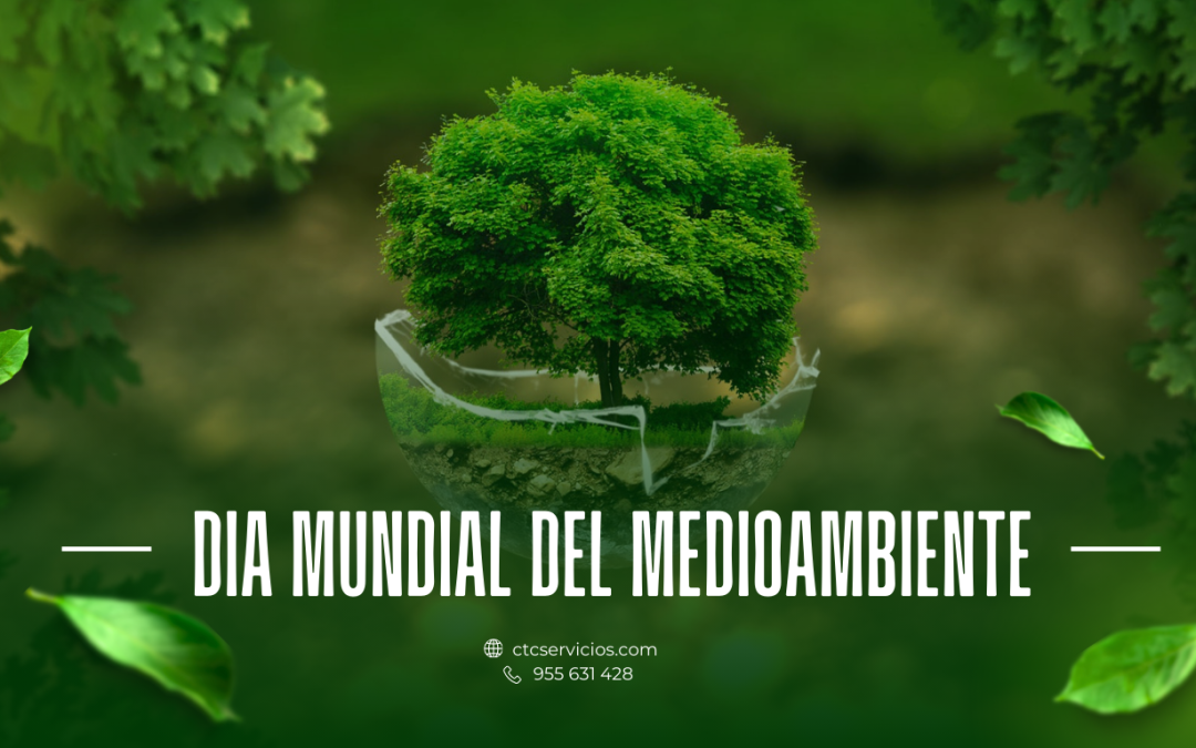 Celebrando el Día Mundial del Reciclaje: La Clave para un Futuro Sostenible